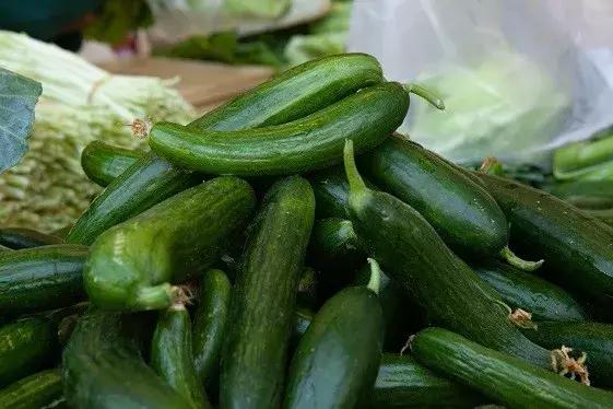 卧虎藏龙里的人情世故,卧虎藏龙金木水火土