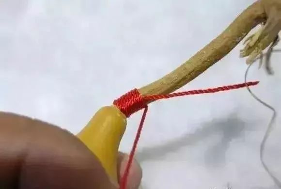 葫芦龙头断了怎么修剪,葫芦龙头怎么去掉