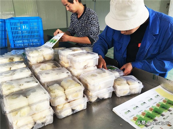 养胃的山珍,适合炖汤的山珍