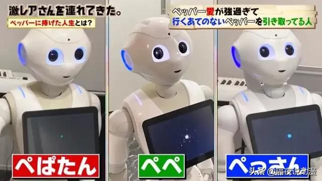 女博士和机器人恋爱,女博士与机器人对话