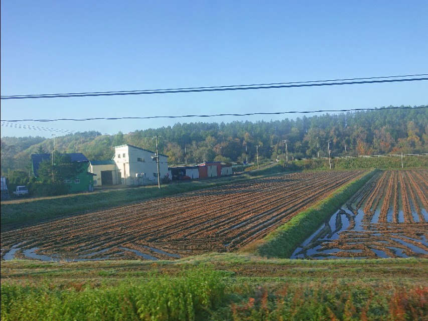 北海道登别到美瑛町需多久,日本北海道美瑛川的雪景