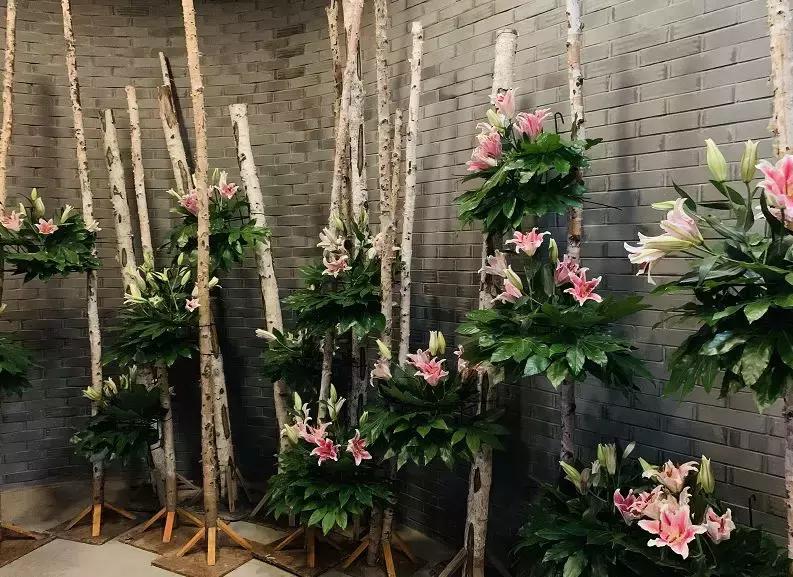 北京延庆旅游攻略必去景点,延庆旅游攻略百里画廊