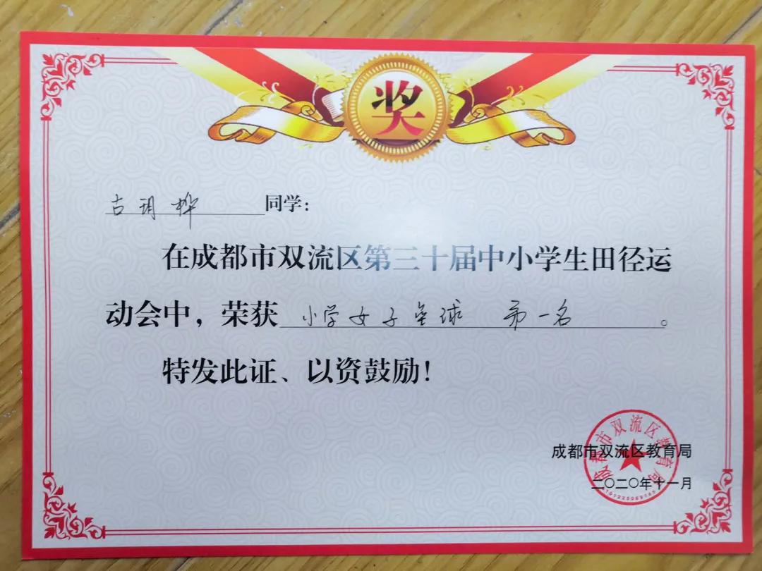 双流永安小学视频,双流永安小学