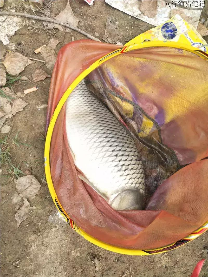 娲涘簞閽撻奔,娲涘簞鍨傞挀