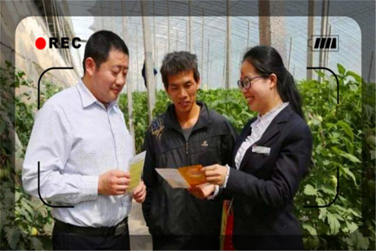 一个月收入1万能做什么,一个月收入2万做什么