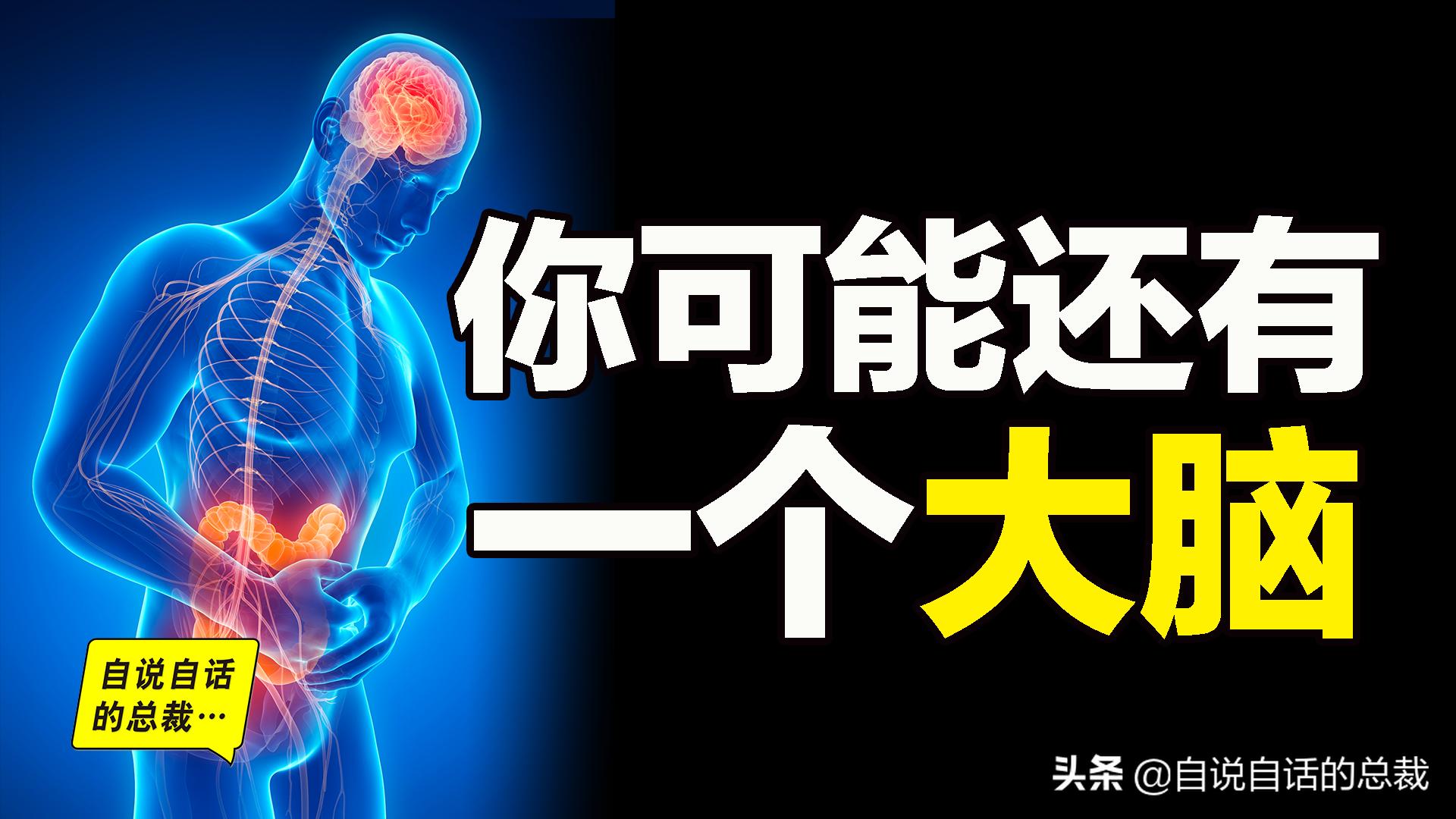 吃翔救命,最奇葩的药,人体“第二大脑”的五个惊奇