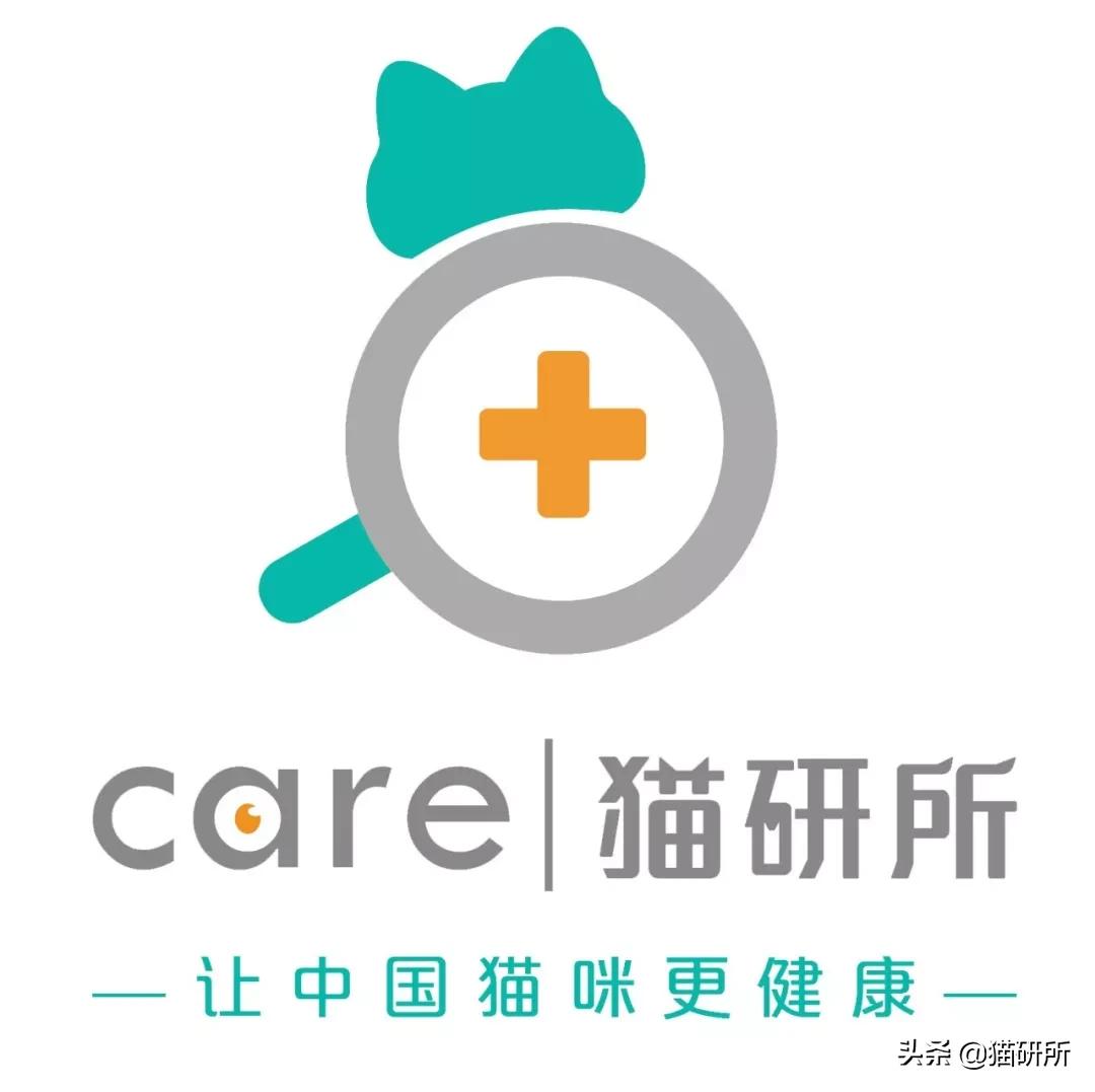 猫咪容易生病补充什么维生素,猫咪维生素a中毒症状是什么