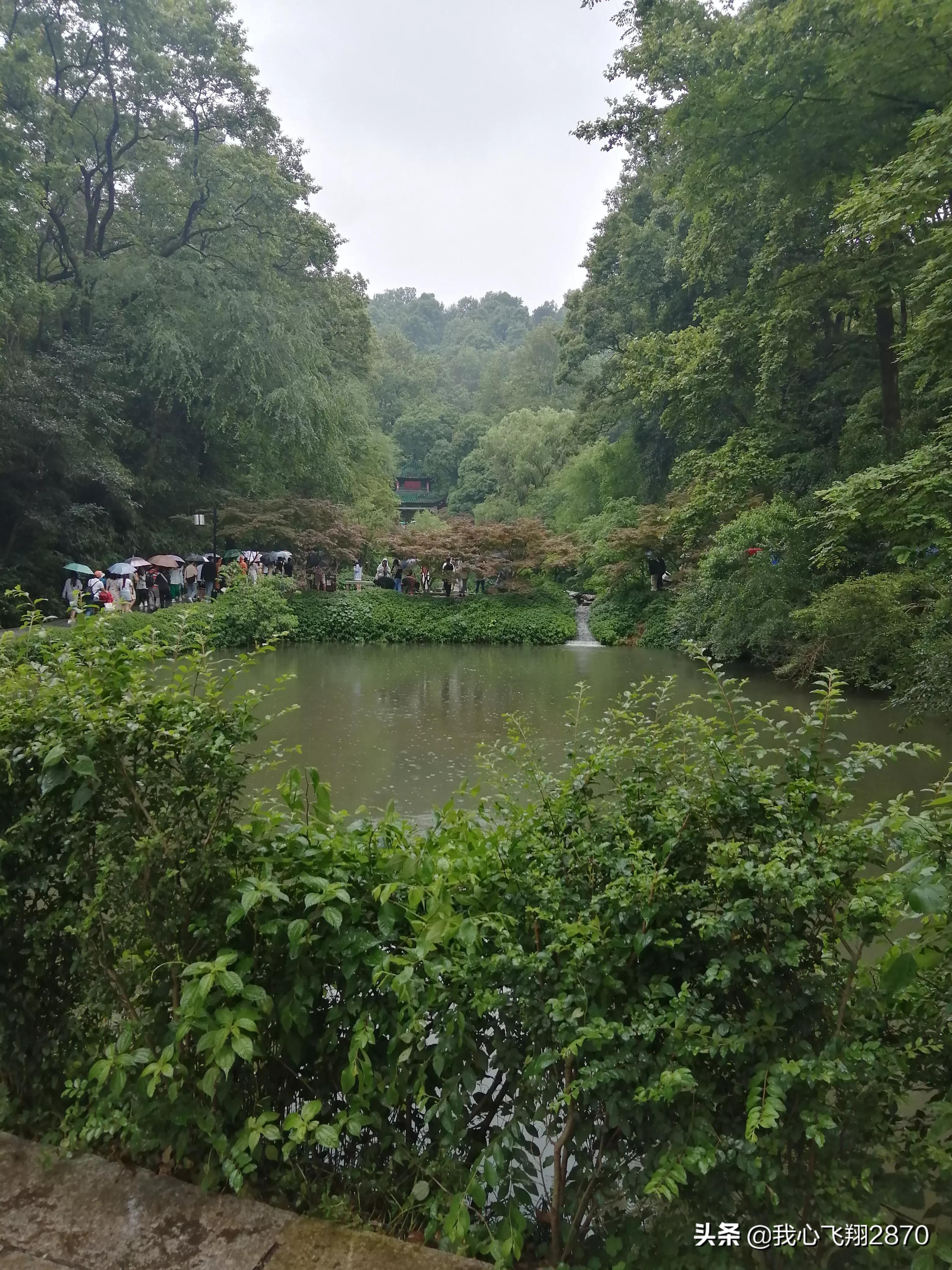 游爱晚亭阅读感想,林伯渠游爱晚亭