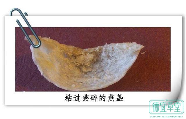 真假燕窝的辨认方式,怎样识别真假燕窝呢