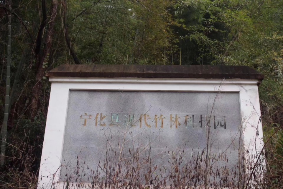 绿韵泉竹酒图片,绿韵泉活竹酒洛宁