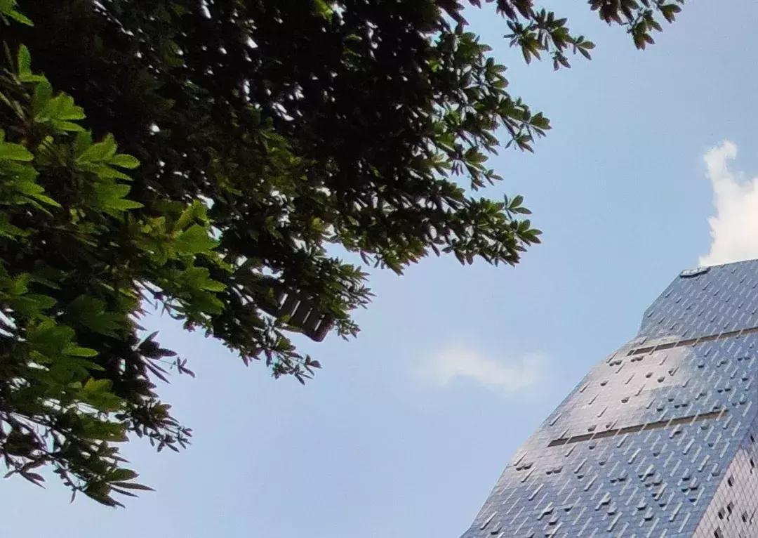 小米拍照最好的机型真实测评,小米9的拍照真的好吗