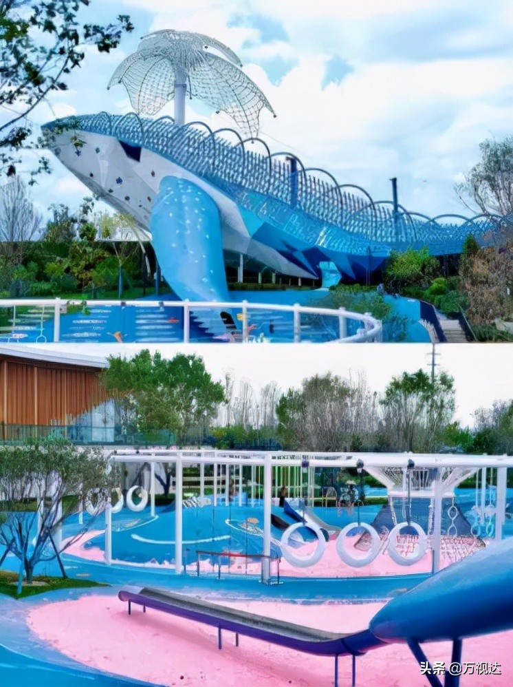 不负夏日好时光亲水游走起,不负金秋好时光