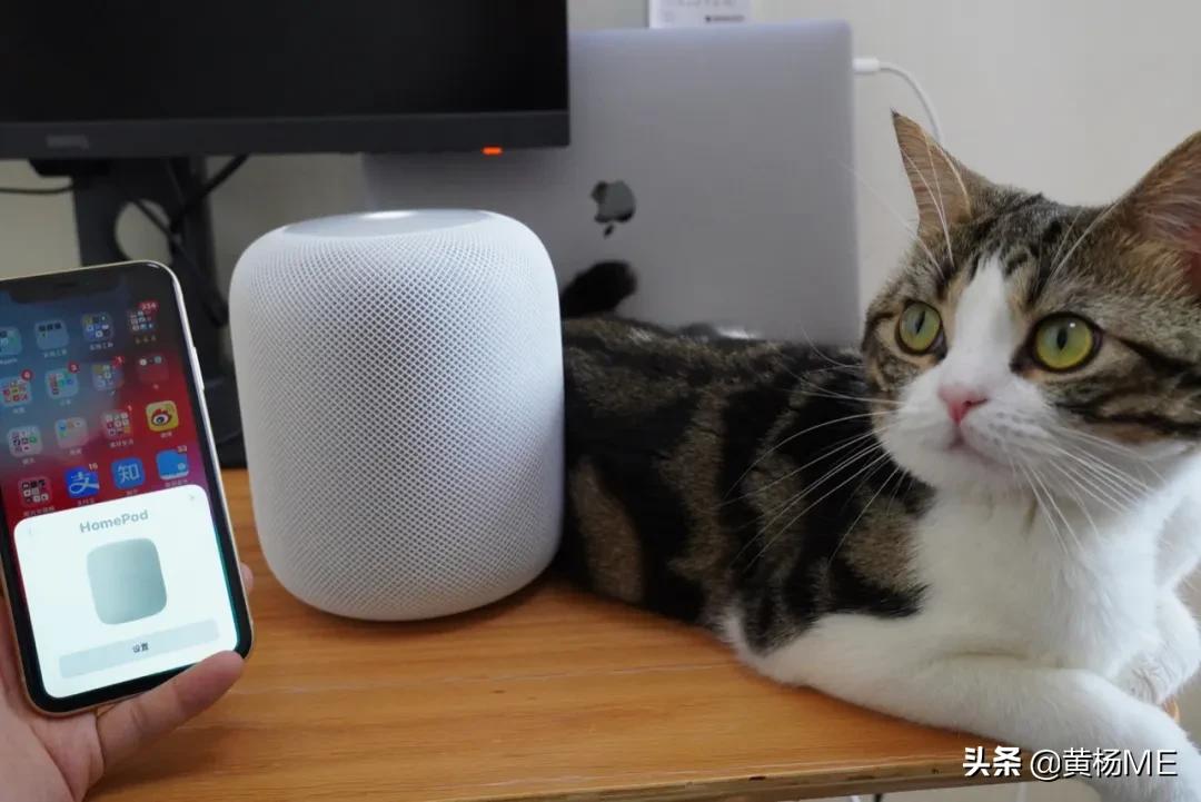 homepodminiappletv,HomePodmini值得买吗