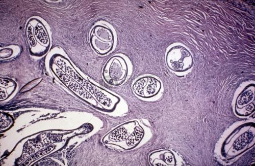 建材知识大全视频,建材知识