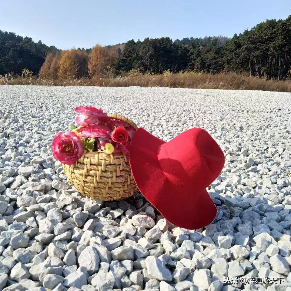 鲅鱼圈环境好的海边,鲅鱼圈风景