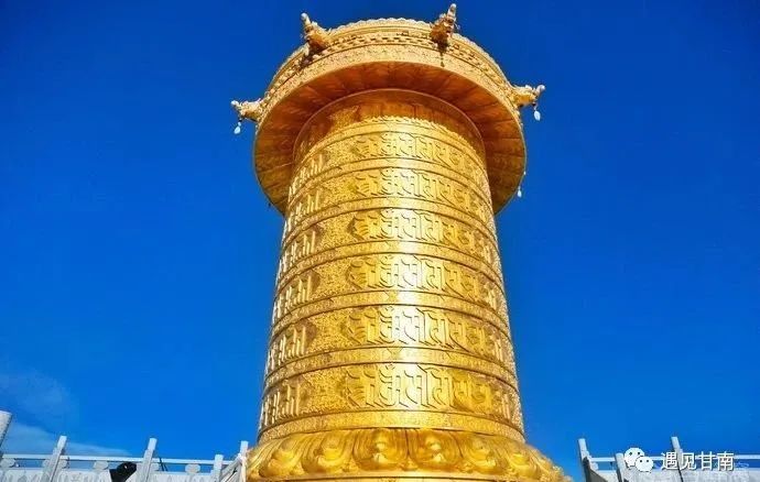 夏天的草原玛曲,夏天的玛曲草原