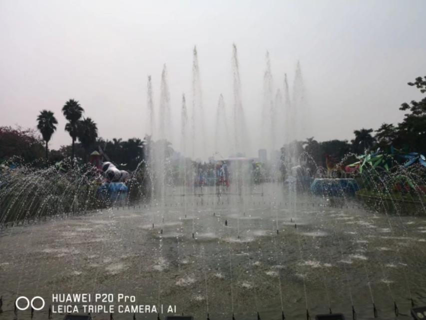 广州云台花园花展,广州云台花园咋样