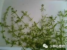 中药药材大全及功效,补肾中药大全及功效