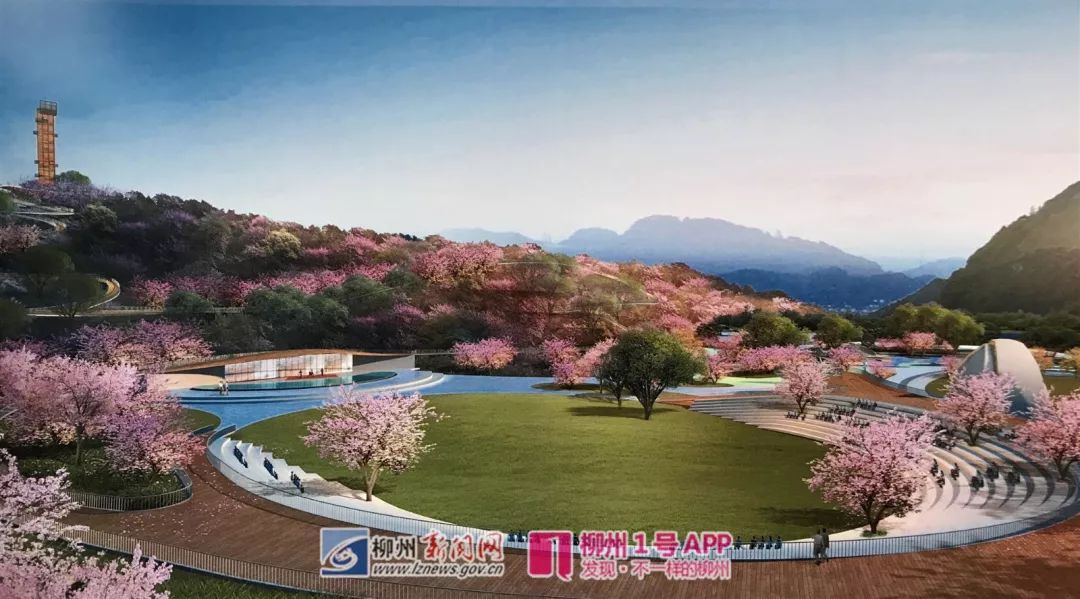 柳州紫荆花园在哪里,柳州紫荆花园最新消息