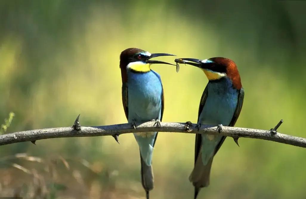 爱情的四季,写四季的散文