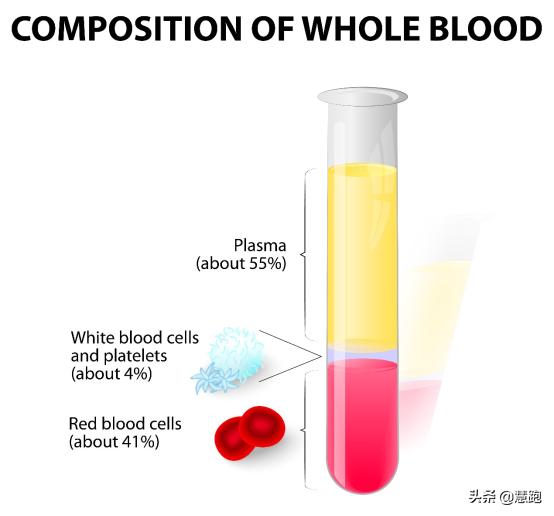 耐力运动需要补充什么元素,补充运动耐力所需营养元素