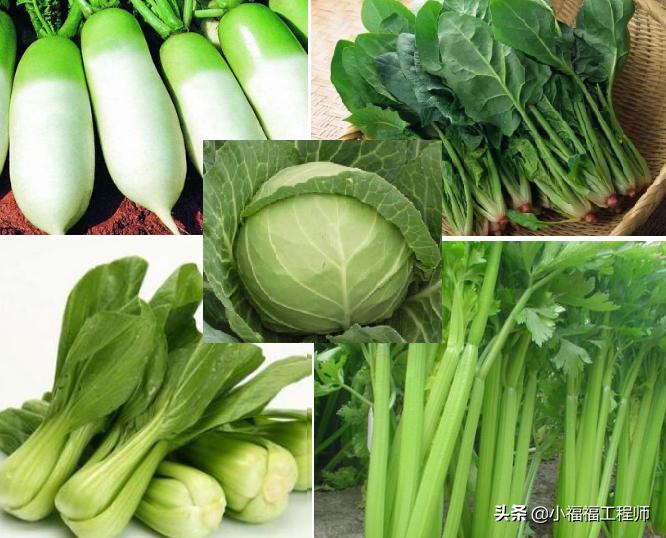 春天播种的蔬菜,春季蔬菜种子播种时间一览表