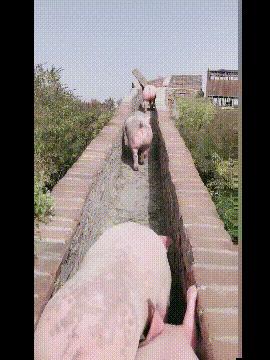 开心图文高清图片,开心图文原创