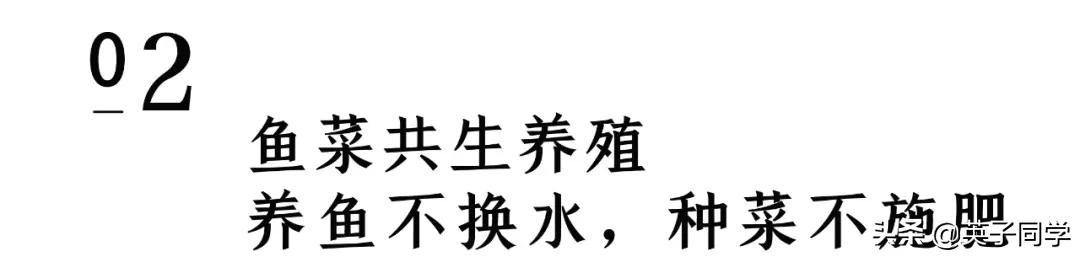 南昌这家高科技田园，1000亩菜地，星空房车，亲子采摘……
