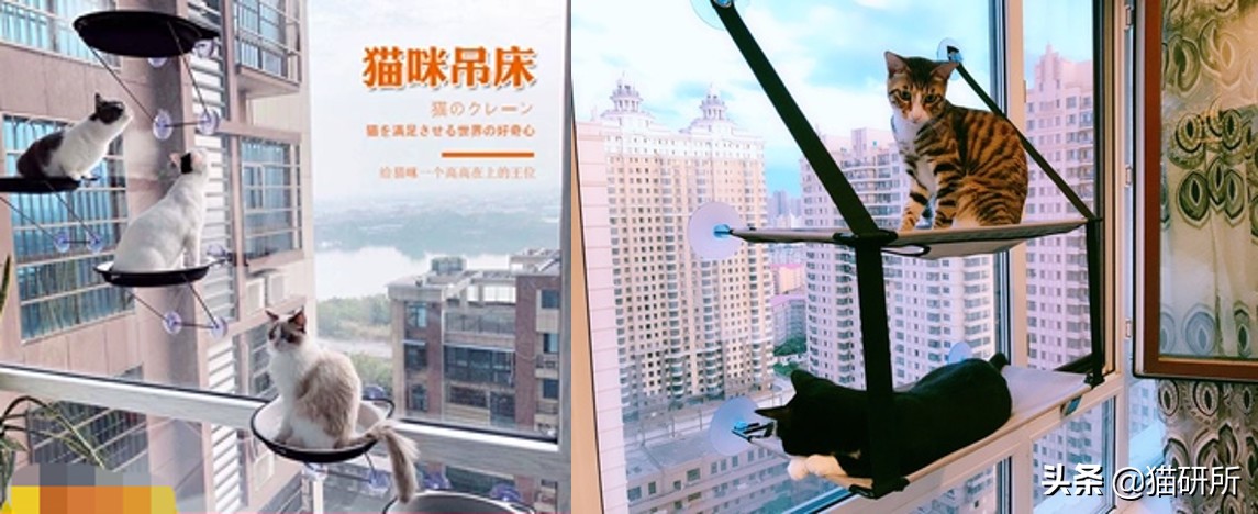 猫咪平替好物推荐,提高猫咪生活质量的几款好物