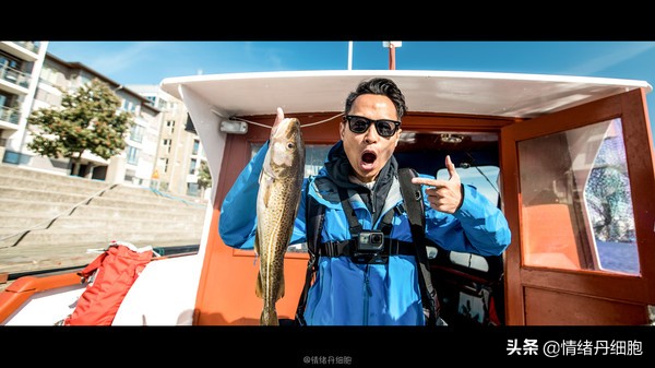 可以去玩一整天的地方,能玩一两天的地方