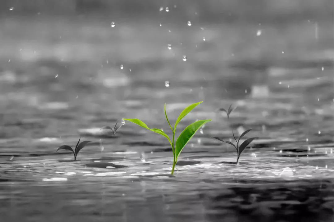 学会老祖宗流传下来的观天术,民间流传的观天术