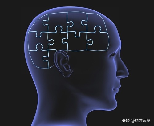 什么是右脑开发,什么是右脑开发事实真相