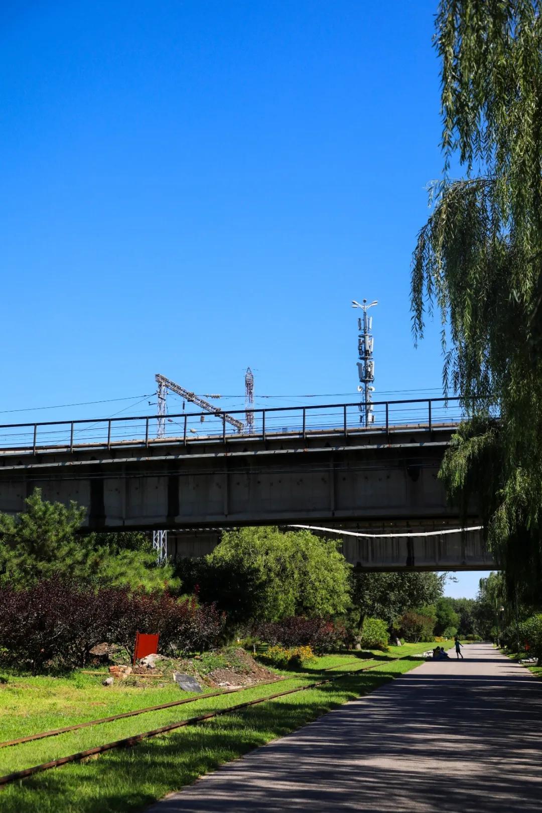 北京人少景美赏秋的公园,北京赏秋中山公园