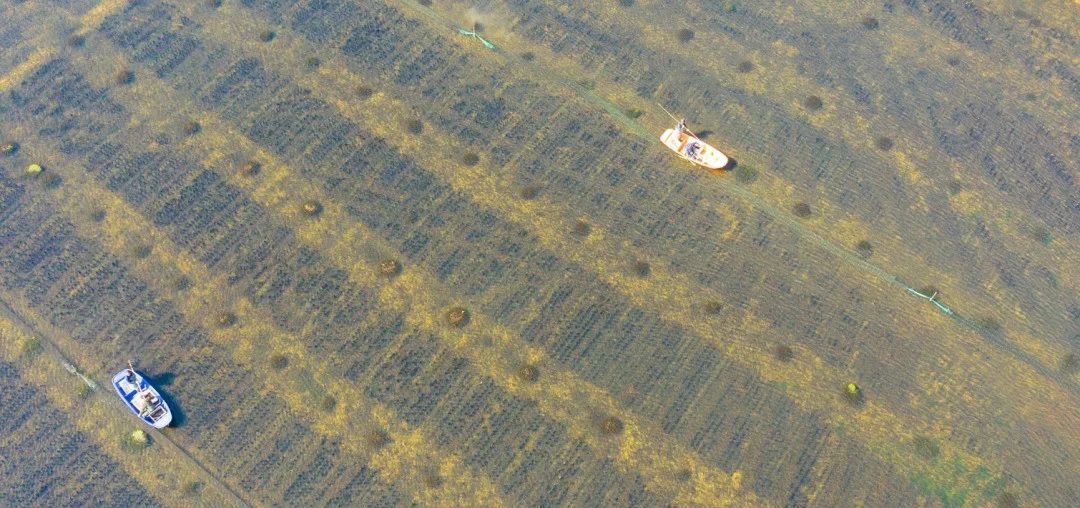 夏天适合出来吃小龙虾喝啤酒,夏天最重要的事喝啤酒吃小龙虾