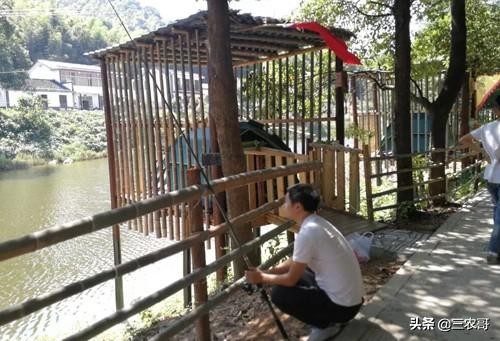 8个适宜在农村创业致富的项目,4个适合农村挣钱好项目推荐