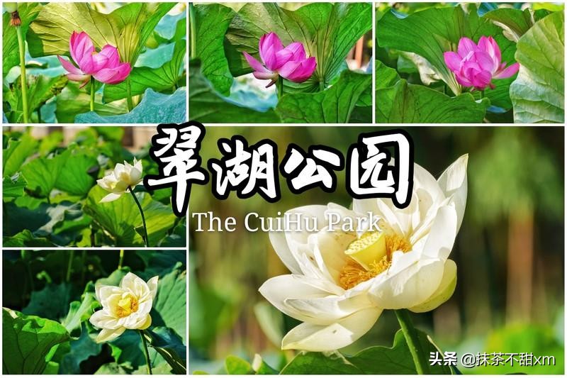 云南旅游自由行攻略昆明大理丽江,云南大理丽江旅游攻略6天5晚