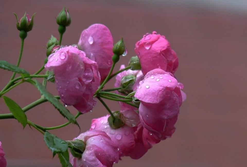 余秀华的诗算中国新诗吗,余秀华的新诗一般在哪里看