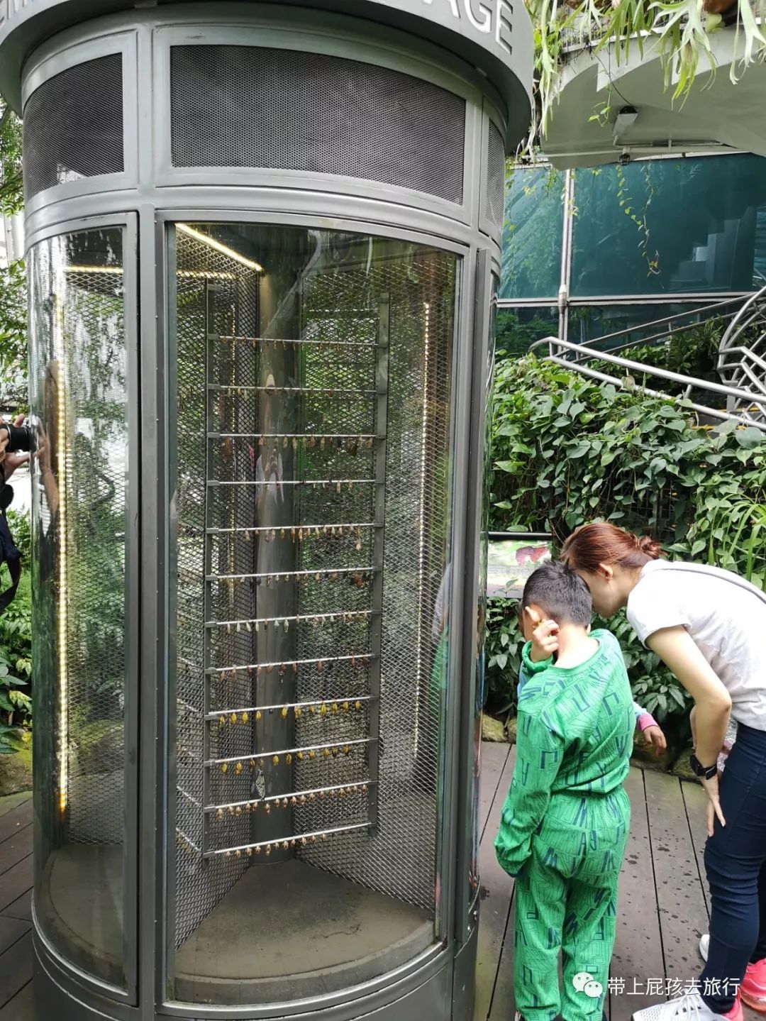 无旅行不暑假亲子游胜地新加坡,新加坡马来西亚亲子游春节