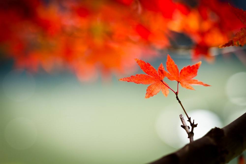 原创诗词临江仙咏繁荣的珠三角,原创诗词临江仙咏冷空气南下