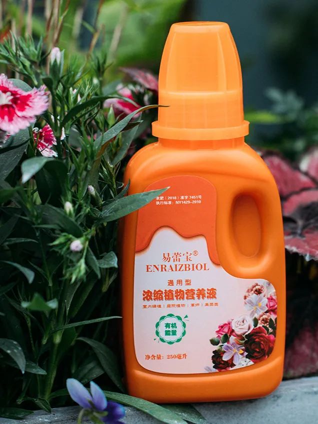 刚栽培的小苗怎样养护,小苗养护注意事项图解