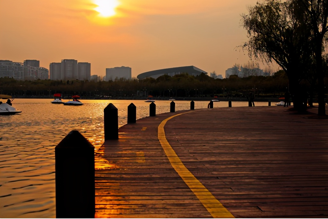 上海森林公园梅花园,上海腊梅