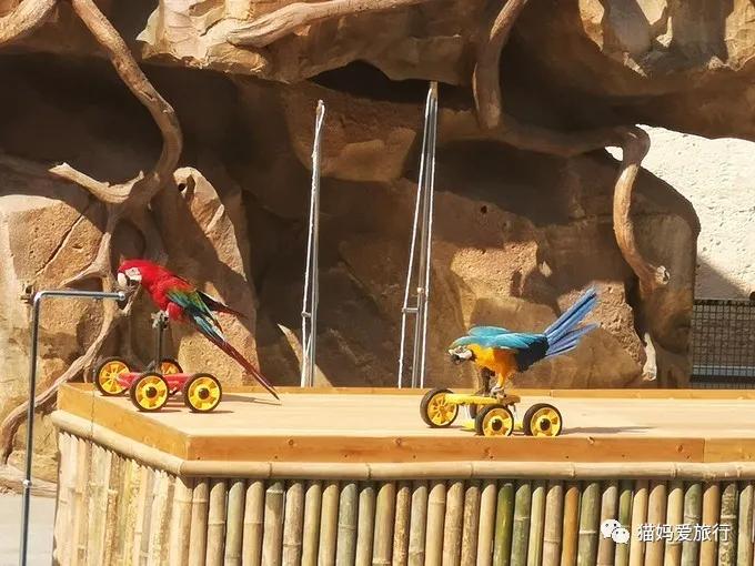 齐河附近带孩子自驾游景点,周边亲子游齐河