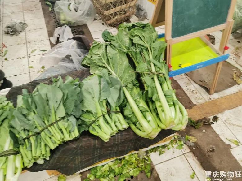 渝北区狗儿市场有卖猫的吗,渝北狗儿市场买狗