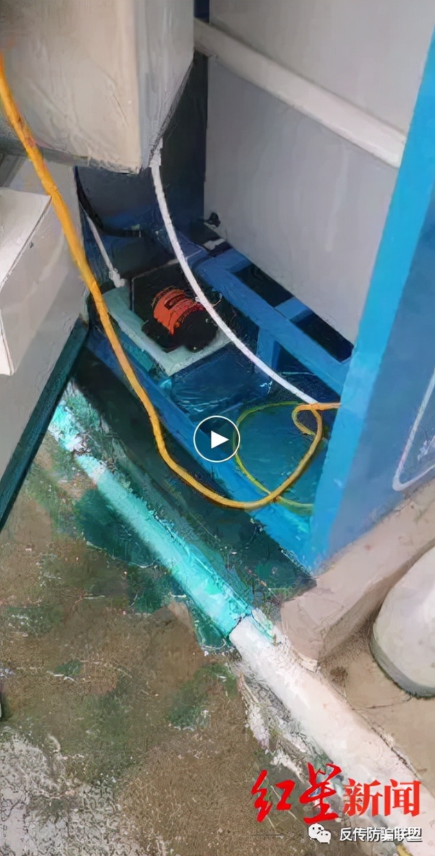 共享洗衣液加盟合法吗,蓝月亮共享洗衣液免费投放加盟