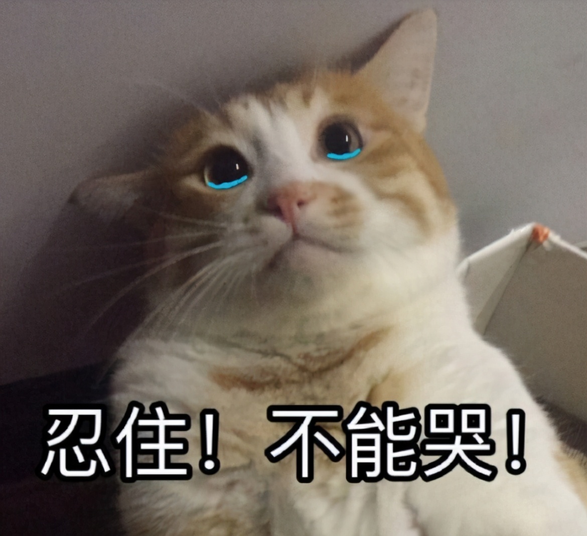 分期买车为什么比全款买车便宜,全款买车和免息贷款买车哪个好