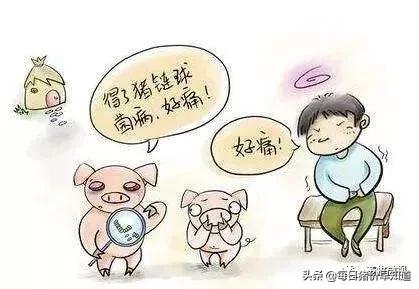 猪病关节炎怎么引起的,猪关节炎链球菌怎么预防