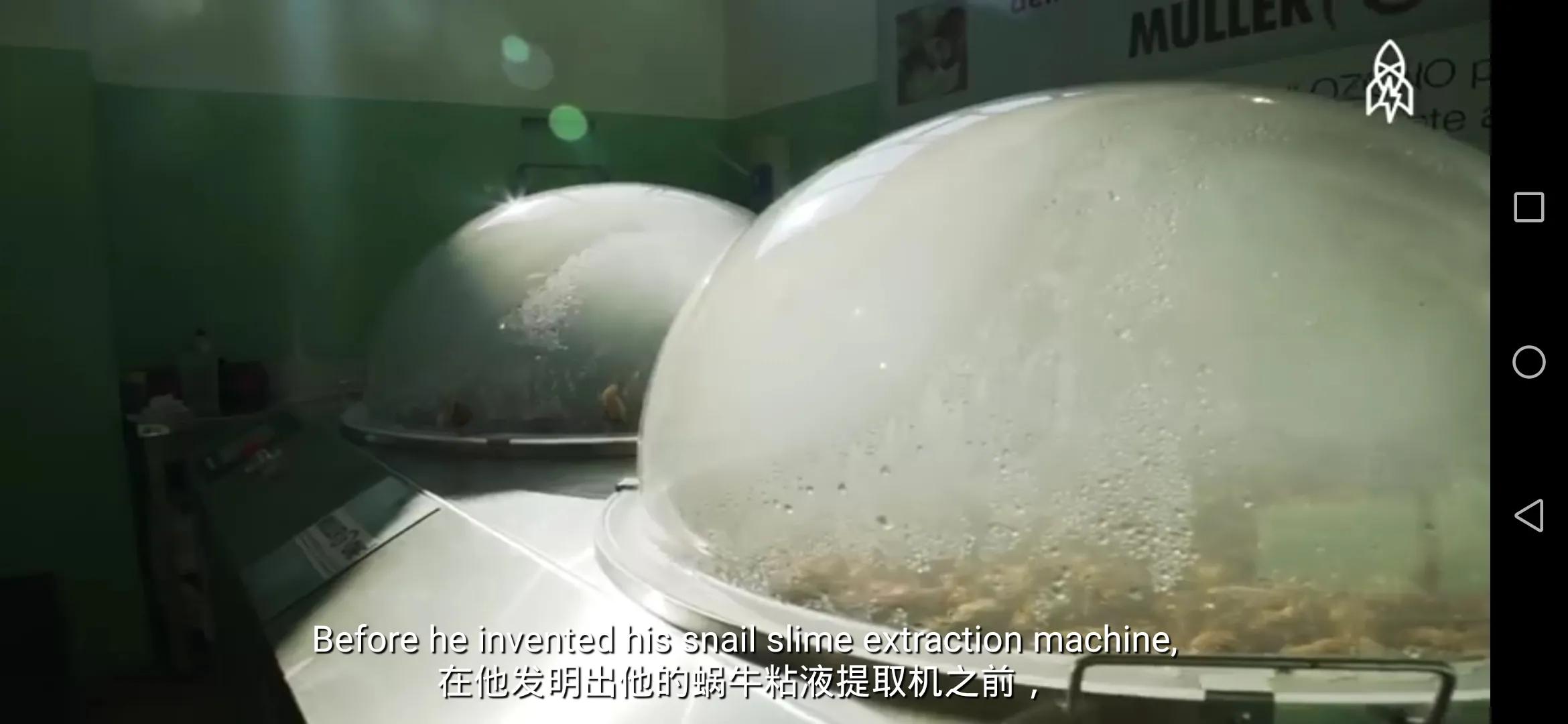 蜗牛的护肤品,所有蜗牛牌的护肤品