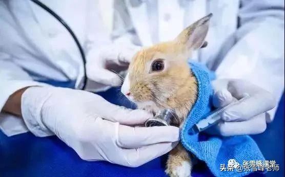 张雪峰谈高考十大好专业,张雪峰不建议报考的食品类专业