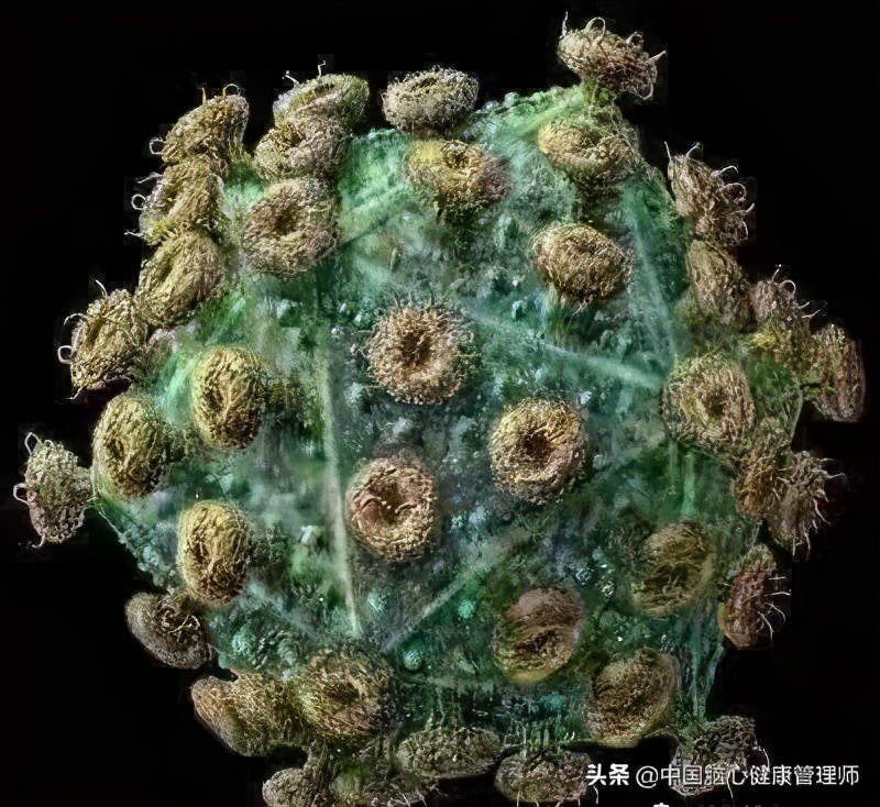 认识艾滋病公益宣传片,认识艾滋病经典句子