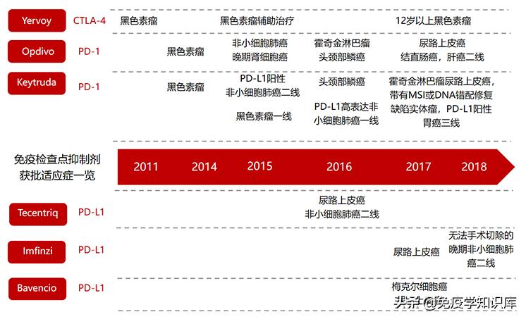 免疫细胞治疗时代已经来临,免疫细胞疗法疑问